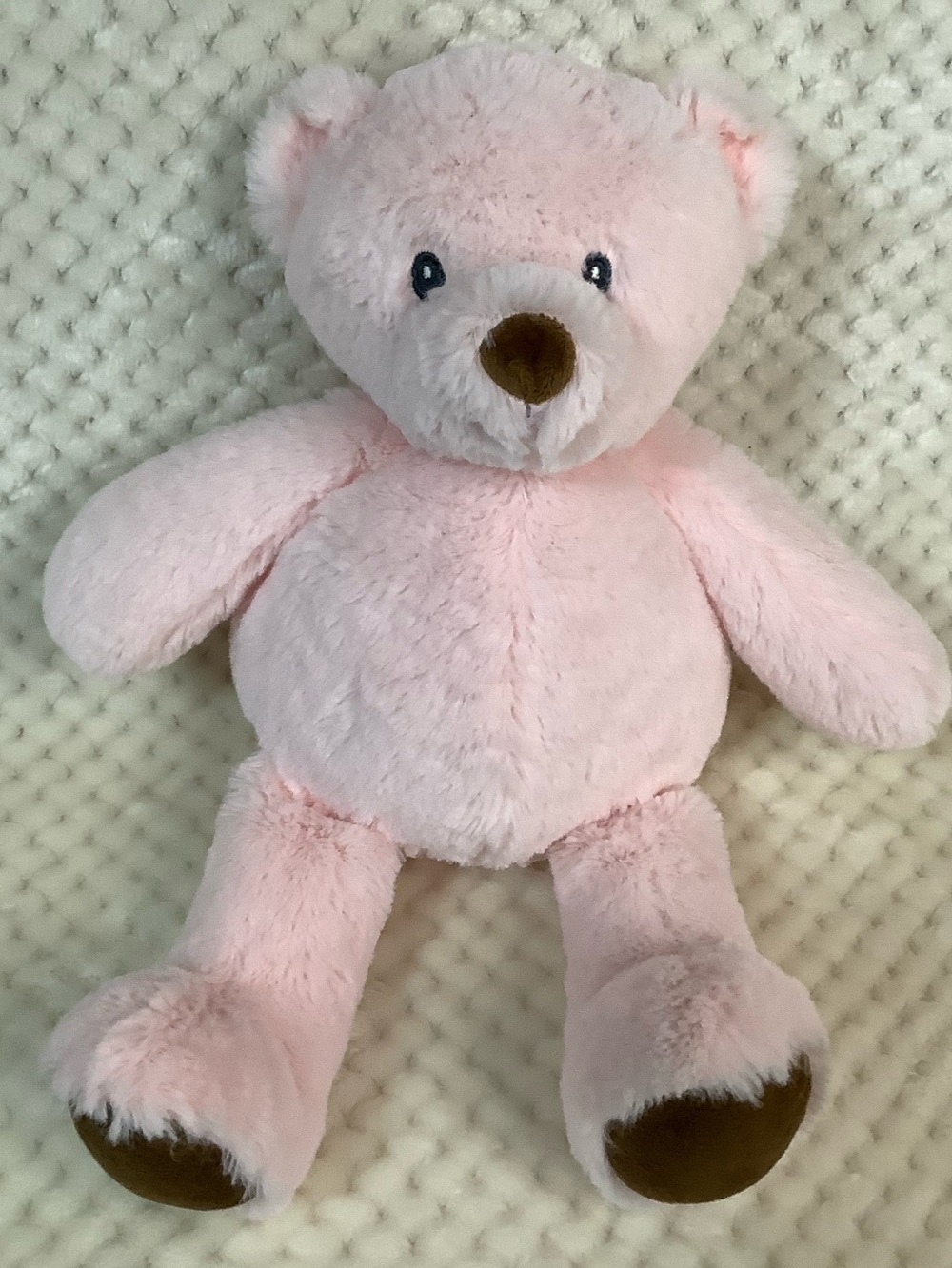 Jesse and Lulu Plush Pink Teddy Bear with Brown Feet Stuffed Animal Toy